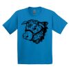 GILDAN® ULTRA COTTON® YOUTH T-SHIRT Thumbnail